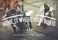 Home Dog Living House Animal Puppy Welcome Concept