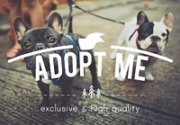 Animal Adopt Adorable Text Concept