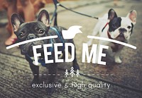 Feed Me Hungry hunger Food Eat Pet Starvation Concept