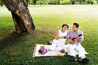 Senior Asian Couple Picnic Park Playful Concept