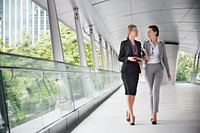 Businesswoman Corporate Colleagues Talking Concept