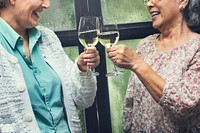Senior Women Retirement Meet up Happiness Concept