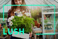 Lush Life Sustainable Environment Concept