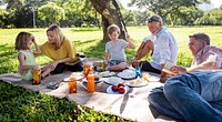 Family having a picnic in the park 