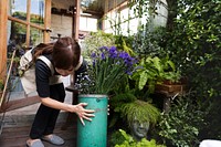 Flower Shop Store Florist Botany Bouquet Blooming