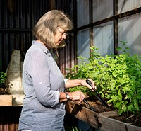 Woman greenhouse gardening with tools