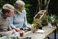Elderly couple enjoying terrarium hobby