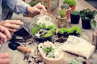 Botanical Environment Green Pottery Nature