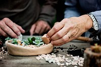 Hands making a terrarium with miniature plants