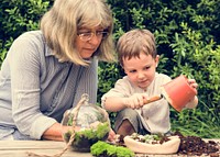 Botanical Environment Greenery Pottery Nature