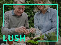 Lush Life Sustainable Environment Concept