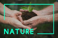 Nature Ecology Natural Environment Concept