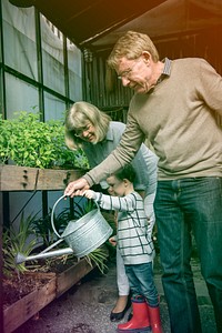 Watering Plant Growing Pastime Environment