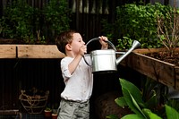 Young boy watering plants in the garden