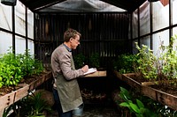 Old man studying plants in the greenhouse