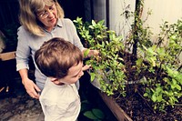 Gardening Nature Plant Flower Green