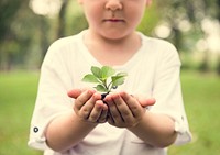 Little boy holding soil and plant in the park