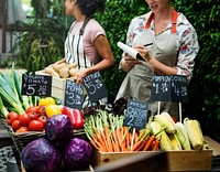 Fresh organic vegetables in the market