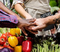 Closeup of diverse hands joined together as teamwork