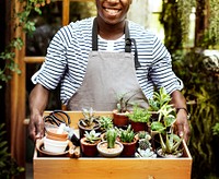 Adult Man Hands Carrying House Plants in Wooden Box