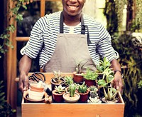 Adult Man Hands Carrying House Plants in Wooden Box