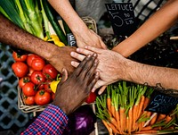 Group of Diverse People Hands Out Together Teamwork