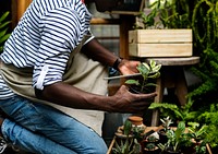 Adult Man Checking Plants Outside Flower Shop