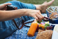 Summer Outdoor Picnic in the Park