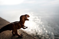 Tyrannosaurus rex toy overlooking from a cliff