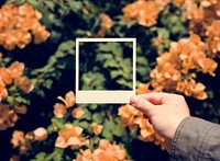 People Hand Holding Photo Frame with Bougainvillea Background