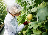 Woman Wearing Gown in Glasshouse Study Plants