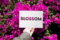 Hand holding paper with blossom word cut out