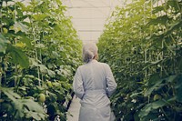 Woman Wearing Gown in Glasshouse Study Plants