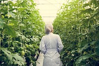 Woman Wearing Gown in Glasshouse Study Plants