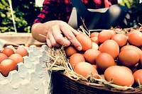 Woman Selling Fresh Chicken Eggs at Local Farmer Market