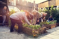 Group of people gardening backyard together