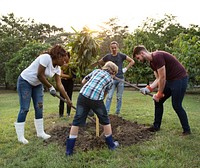 Group of Diverse People Digging Hole Planting Tree Together