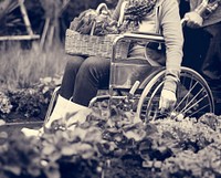Senior Woman Sitting On Wheelchair with Fresh Vegetable