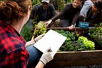 Farmer with organic nature product vegetables