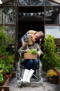 Senior Couple Harvesting Fresh Organic Vegetable