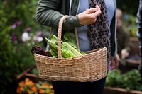 Senior woman carrying a basket with vegetables