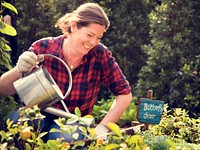 Adult Woman Watering Vegetable Fresh Organic