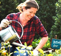 Adult Woman Watering Vegetable Fresh Organic