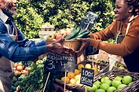 Greengrocer preparing organic fresh agricultural product at farm