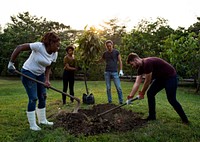 Group of Diverse People Digging Hole Planting Tree Together