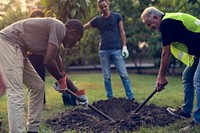 Group of Diverse People Digging Hole Planting Tree Together