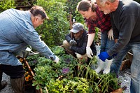 Group of people planting vegetables