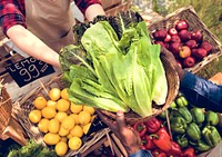 People Organic Market Festive Healthy