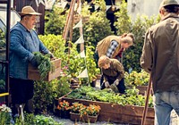 Group of people planting vegetable in greenhouse
