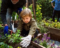 Dad and son gardening tranplanting outdoors together